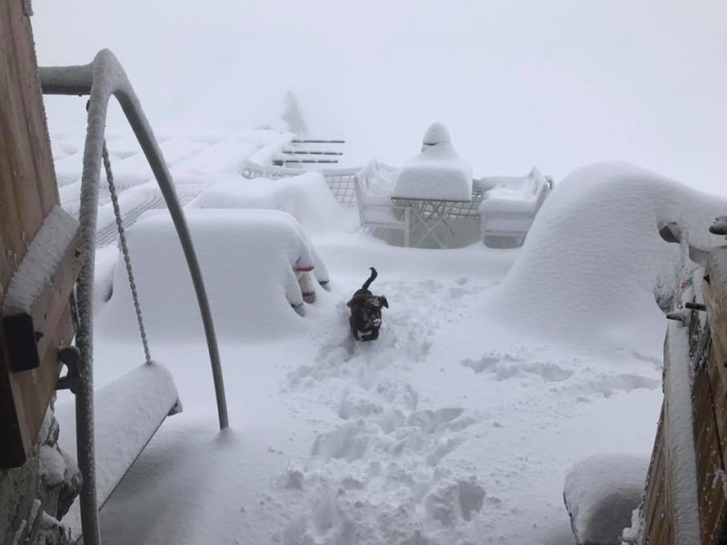 Cabane des viñetas. 3160 metros chalet en Suiza - Haga clic en la imagen para agrandar