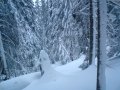 Chopok-d�l, Freeride&nbsp;(37 k�p)