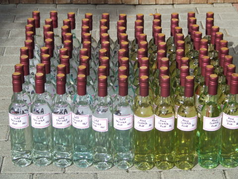 palinka-2011.1.JPG