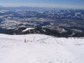 IMG-4977.JPG