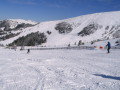 IMG-4984.JPG
