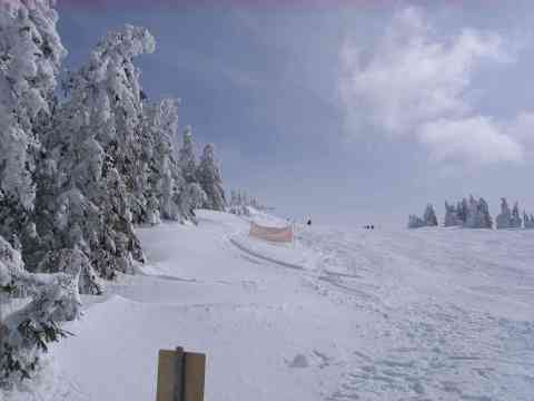 2009.03.14-Semmering-Stuhleck-Picture-019.jpg