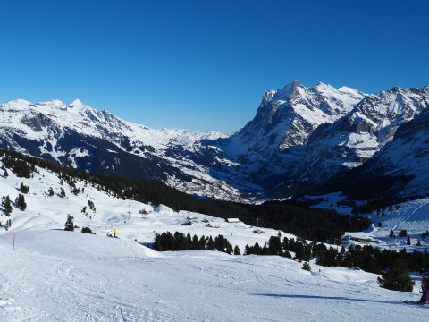 a vögylben Grindelwald, jobbra a Wetterhorn (3672m)