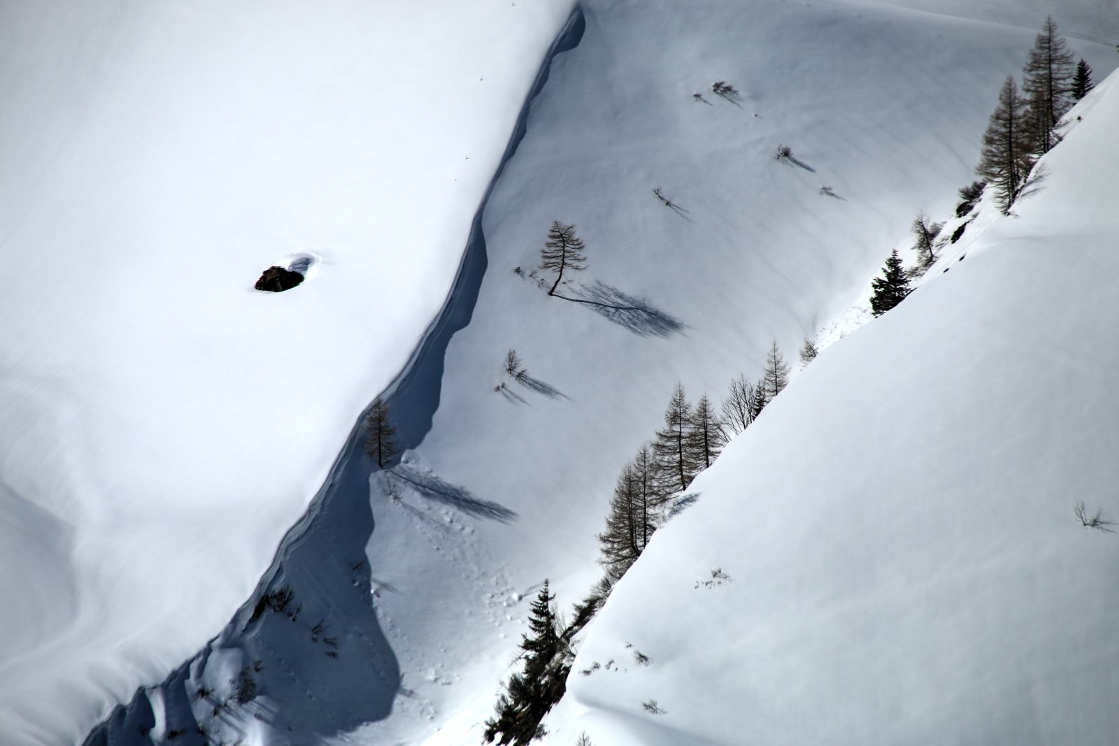 Éles hópárkány a Planitzer havas hegyoldalában - fotó: Stánicz Balázs