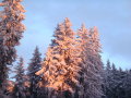 EraHebalmKoralpe-157.jpg