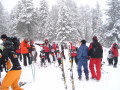 Opel Difer Kupa 2008. janu�r 13. - Kreischberg, Murau&nbsp;(145 k�p)