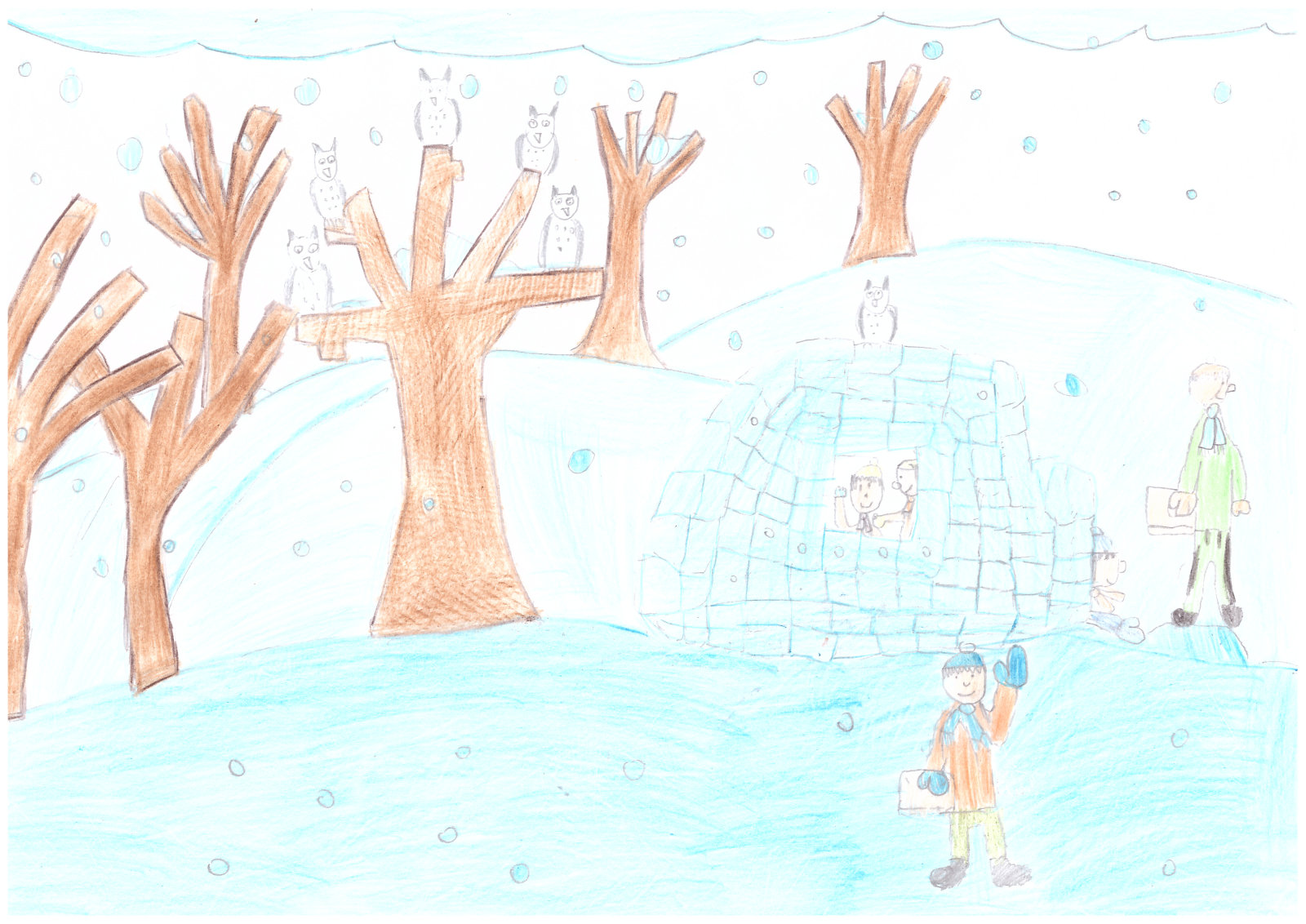 Várnagy András Dávid, 9 éves - Családi jégkunyhó építés hóbaglyokkal