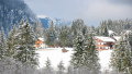 Sappada 2009. janu�r&nbsp;(16 k�p)