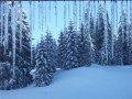 Sappada 2010 janu�r&nbsp;(11 k�p)