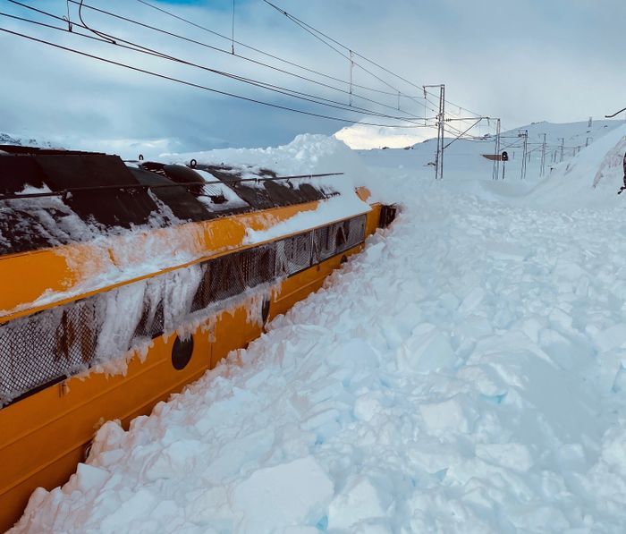 Elakadt hókotró a síneken (Kép: Norvég Vasút)