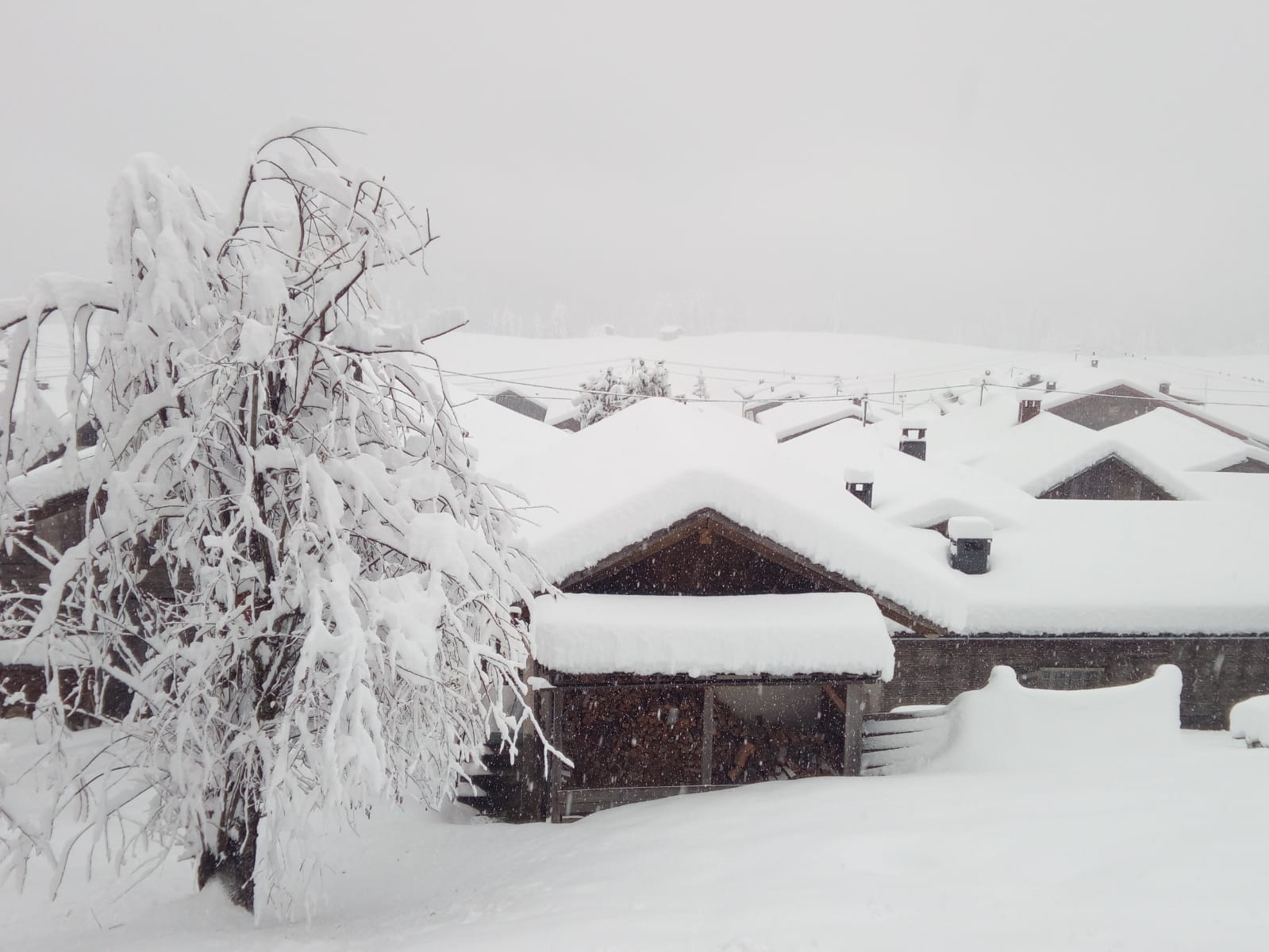 Tavaly novemberi havazás a Lesach völgy karintiai oldalán - Fotó: Jan Salcher/Bergrettung