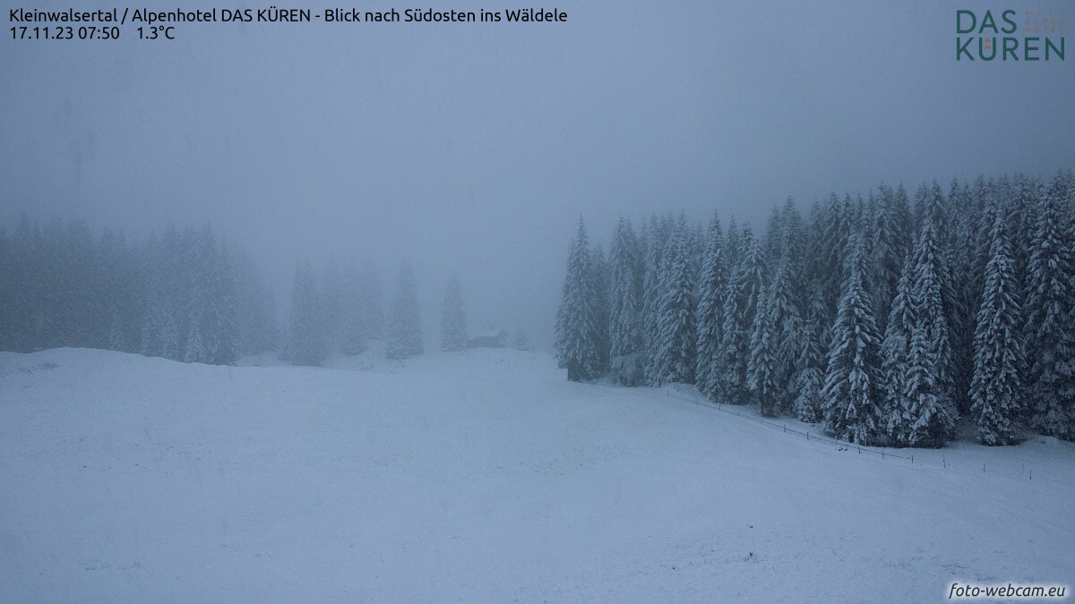 Fehérednek a fenyőfák az osztrák-német határon fekvő Kleinwalstertal (Vorarlberg) régióban - Fotó: foto-webcam.eu