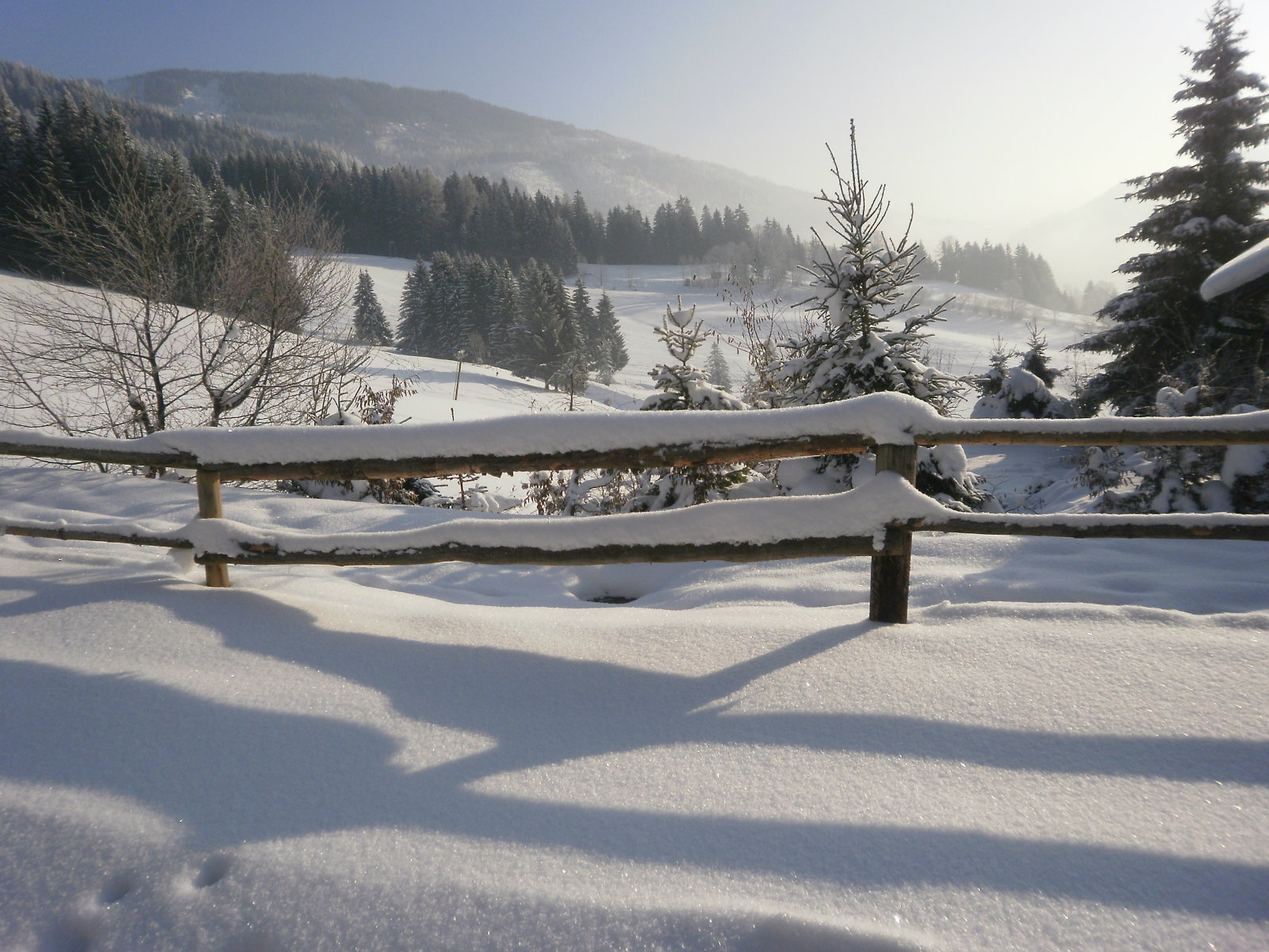 2010-jan.Wald-am-Schoberpass-107.jpg