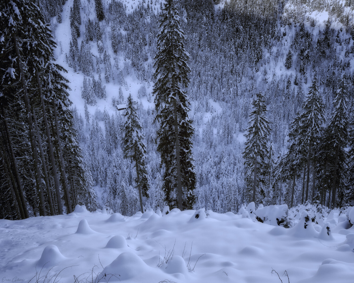 Old Man's Snowpark