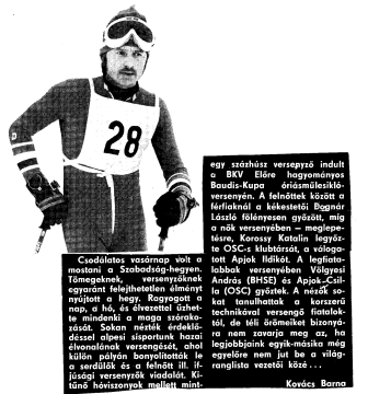 Baudis-Kupa.bmp