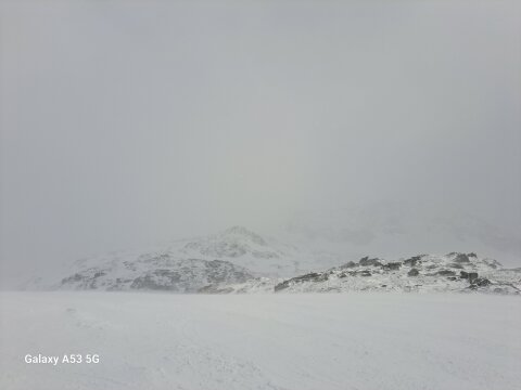 20250516-111233.jpg