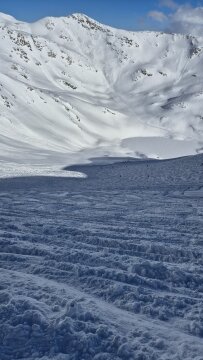 20260203-151337.jpg