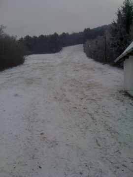 IMG-1383.JPG