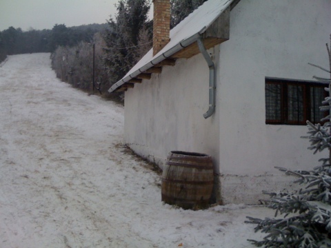IMG-1385.JPG