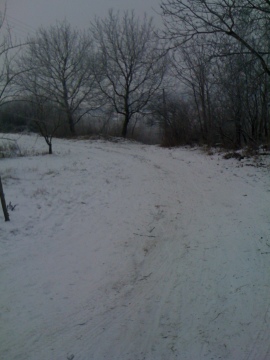 IMG-1387.JPG