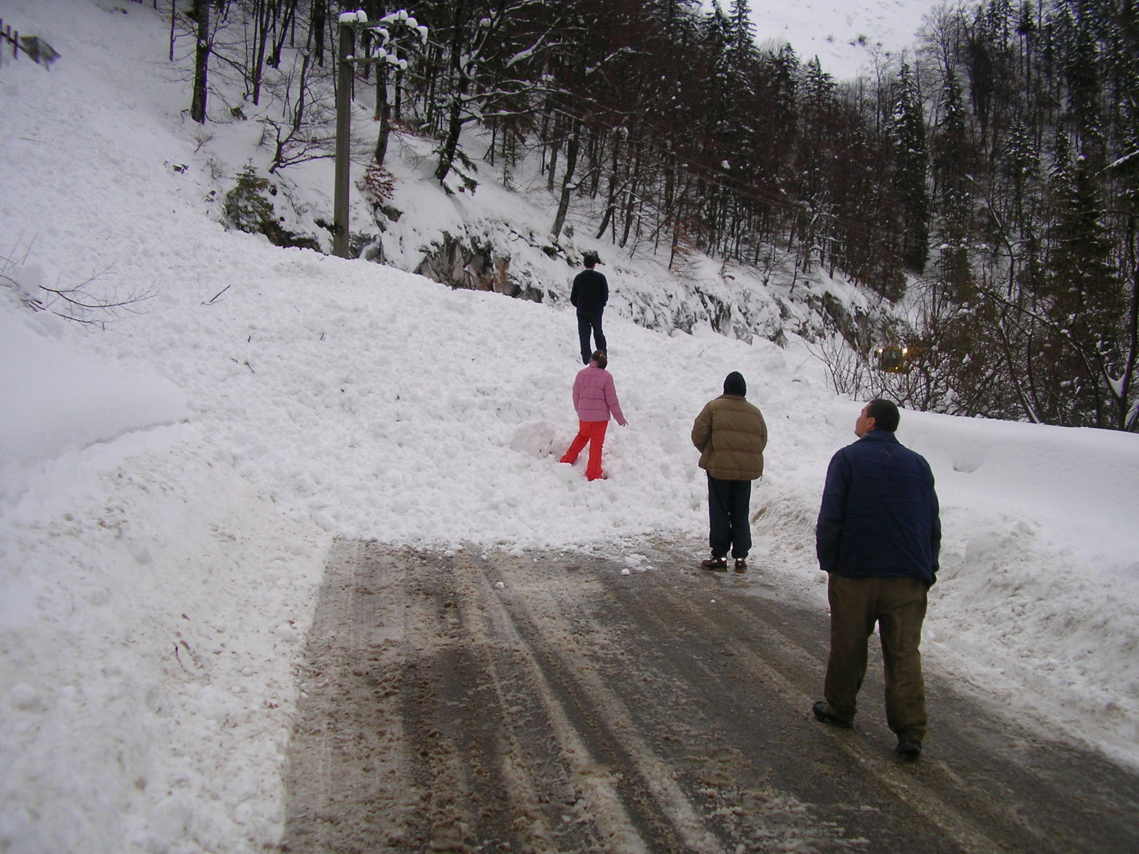 Lavina a szerpentinen, 2007 feb.17