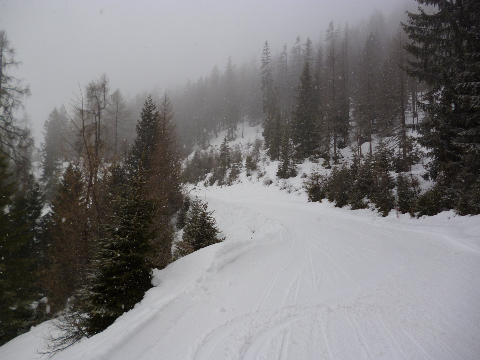 P1030743.JPG