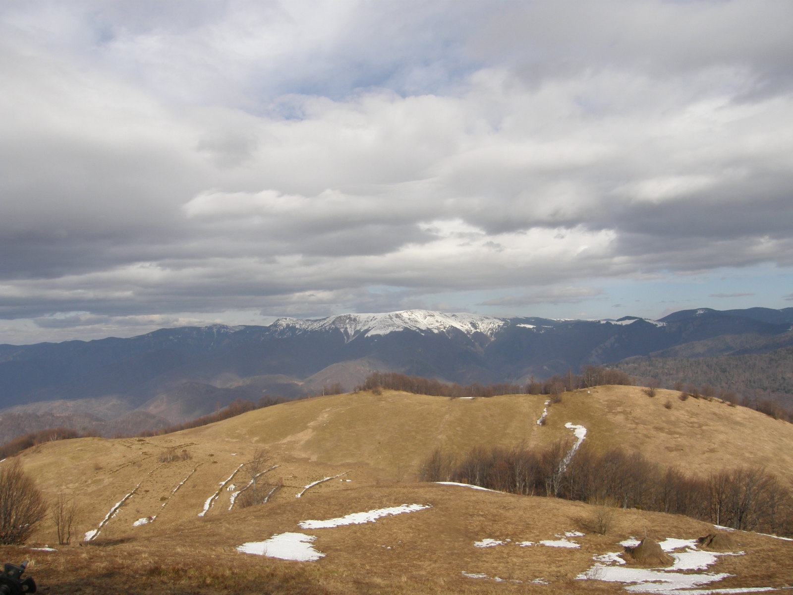 2009 Bihari hg.Tatárhavas