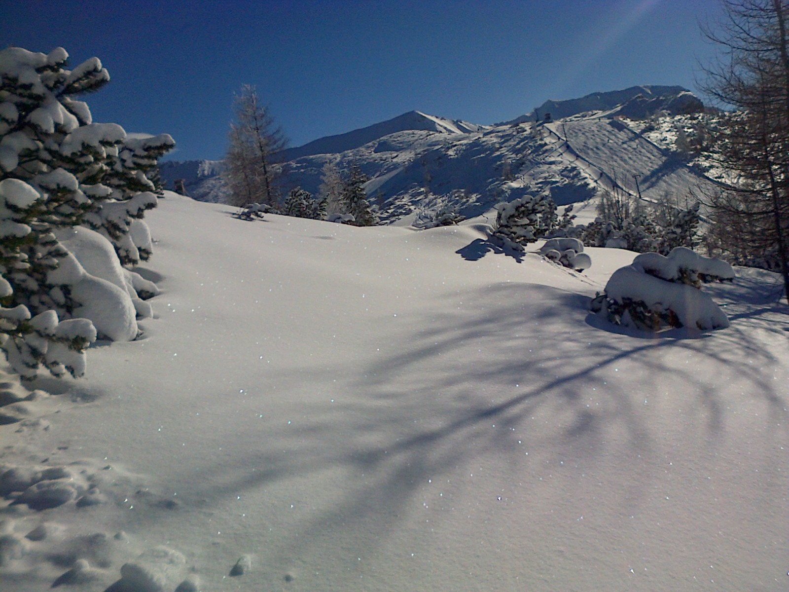 IMG-20140129-00551.jpg