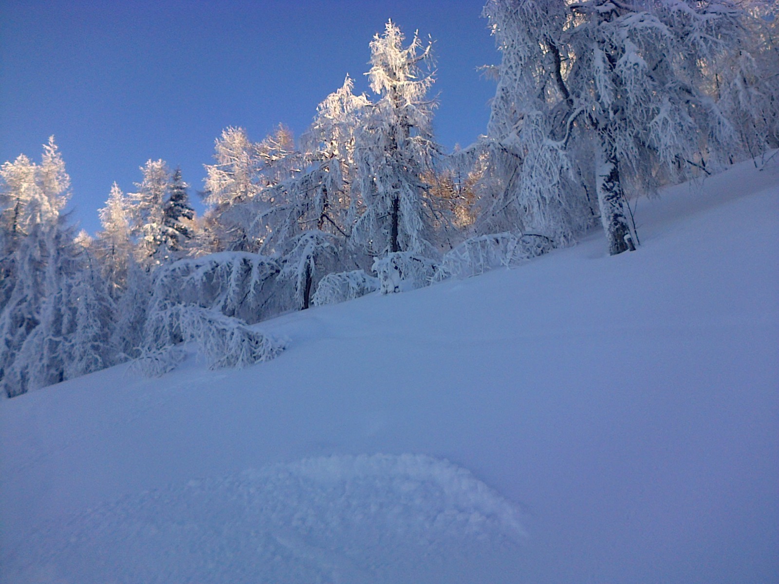 IMG-20140129-00575.jpg