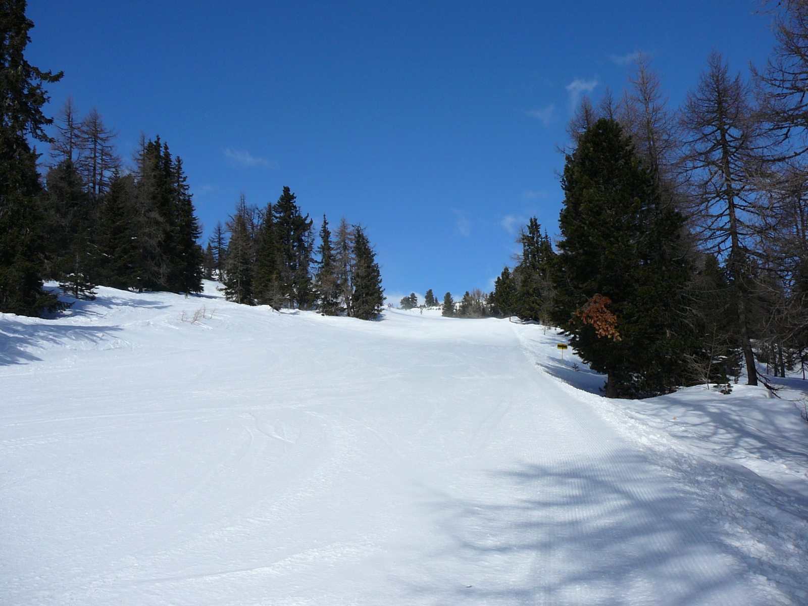 Rutin-sieles-2011-2-007.jpg