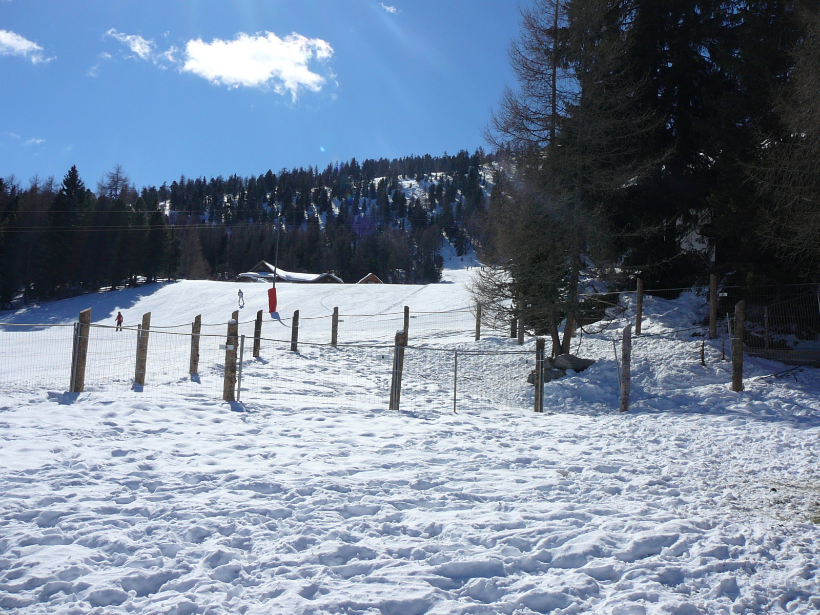 Rutin-sieles-2011-2-016.jpg