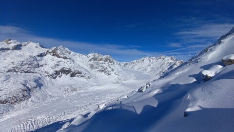 Az Aletsch gleccser a Bettmerhorn mellöl