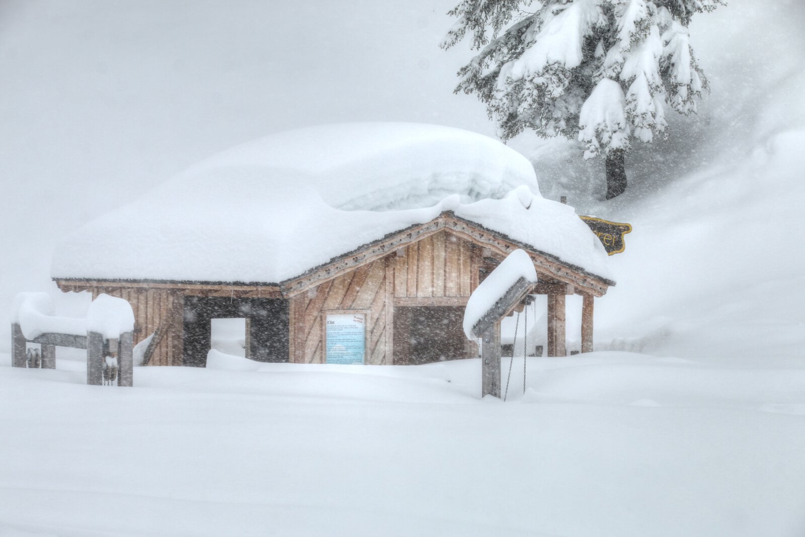 Kis faházikó süllyed el a hóban St Johann síterepén (Salzburg - Alacsony-Tauern) - Fotó: Stánicz Balázs (Stani)
