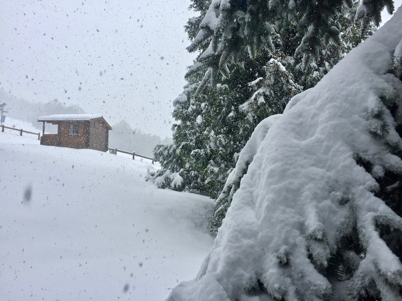Mátraszentistvánon tegnap közel 30 cm hó hullott, ma 50 cm-hez közelít a hóréteg | Fotó: Sípark Mátraszentistván