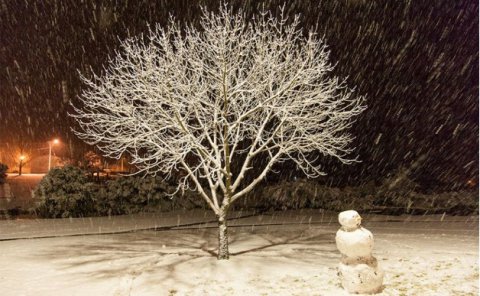 Stanthorpe városkában tél van - Fotó: Xtreme Inflow