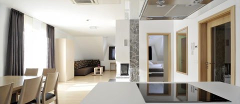 breza-apartements-ribnisko-pohorje04.jpg