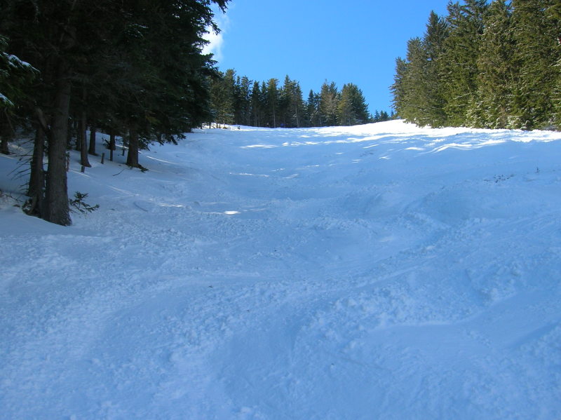 Brunnalm-02-27-049.jpg