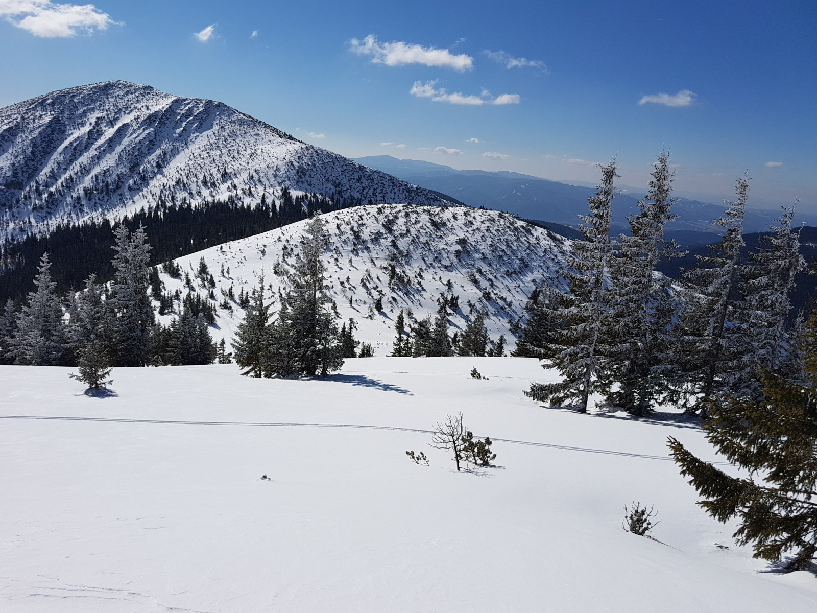 Szemben a Prislop