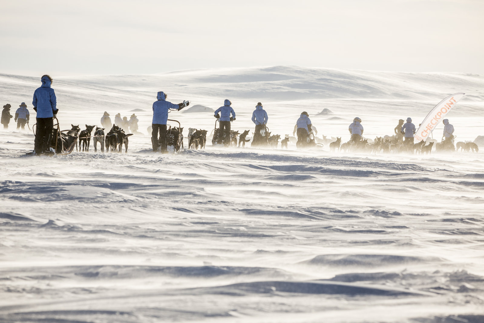 A szerencsés résztvevőket szakképzett túravezetők és több mint 200 szánhúzó kutya segíti majd a 300 kilométeres út során.