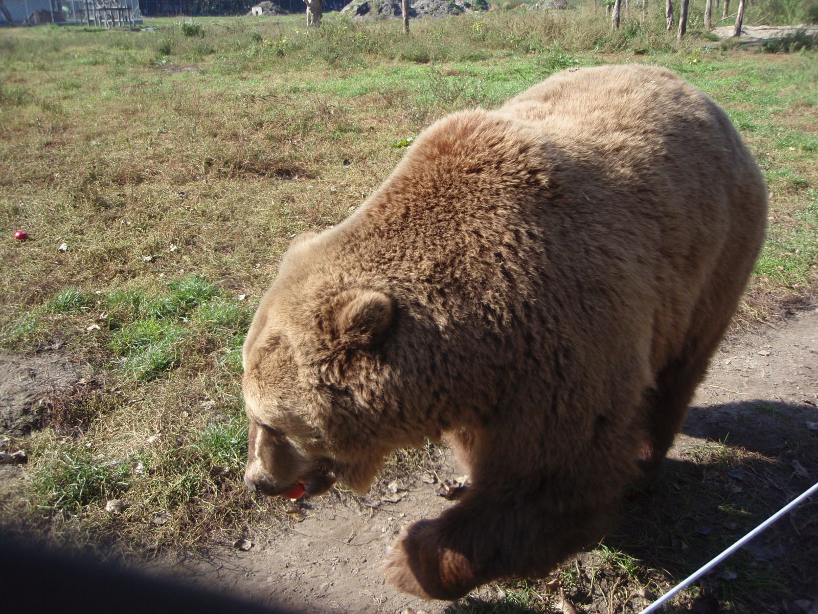 PA090073.JPG