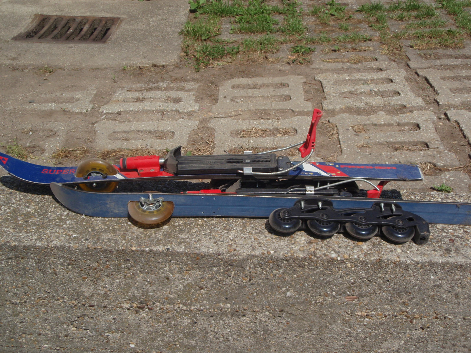 P5180008.JPG