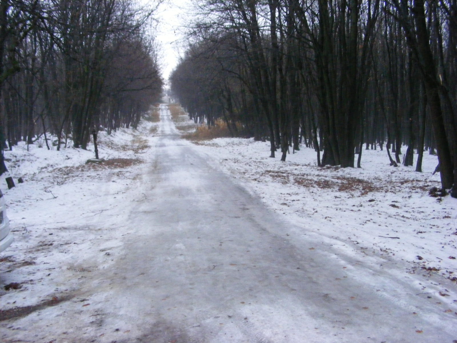 Dobogoko-2011-12.03-010.jpg