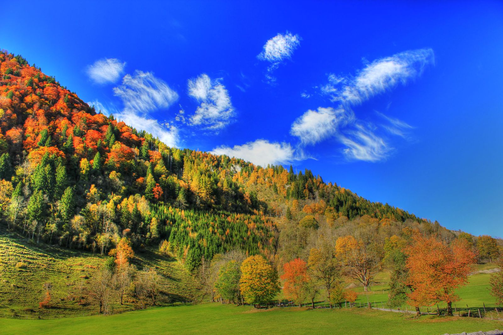 IMG-6626-tonemapped.jpg