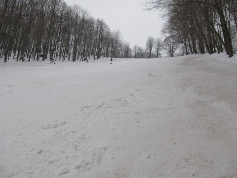  Kevesen bíztak benne, hogy tényleg jó még a pálya