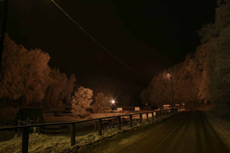 IMG-5133.JPG