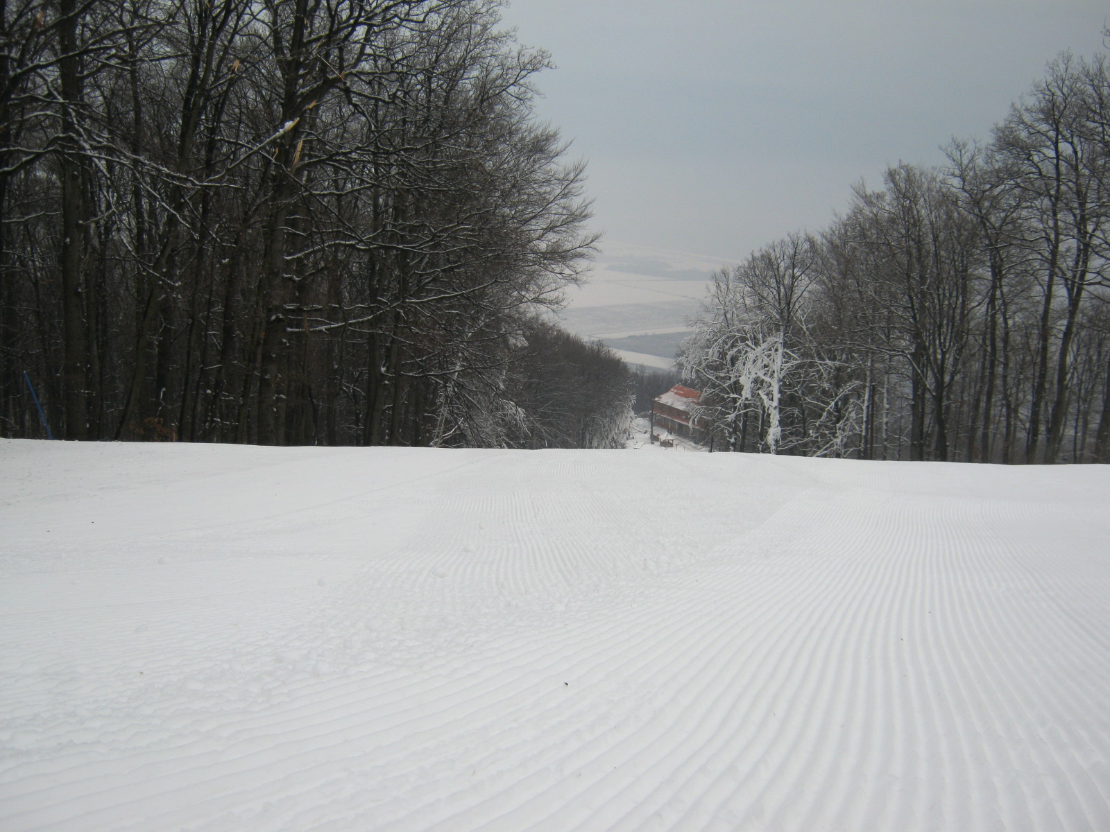 IMG-4985.JPG