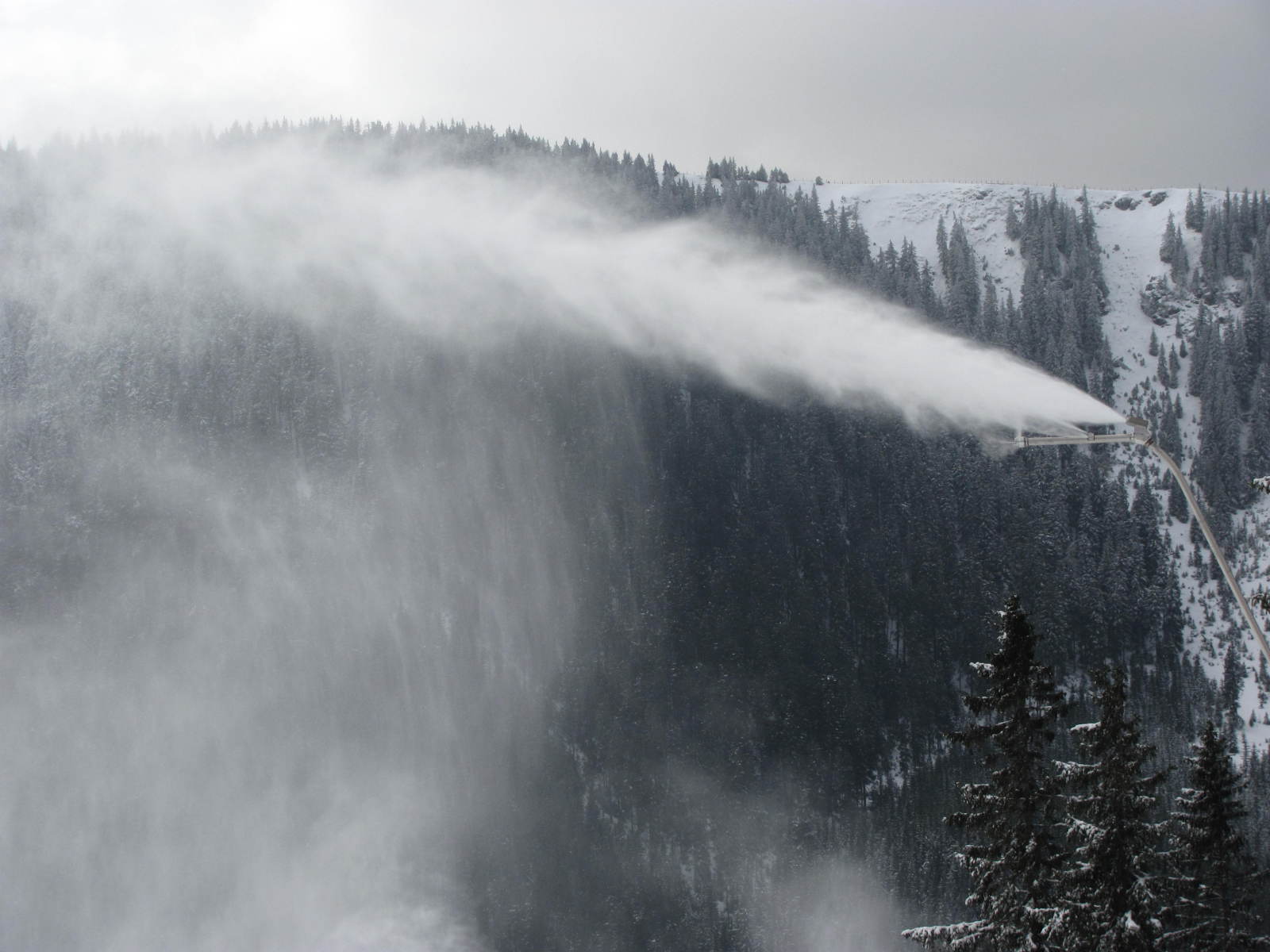 2014.01.25-Semmering-Stuhleck-IMG-1068.JPG