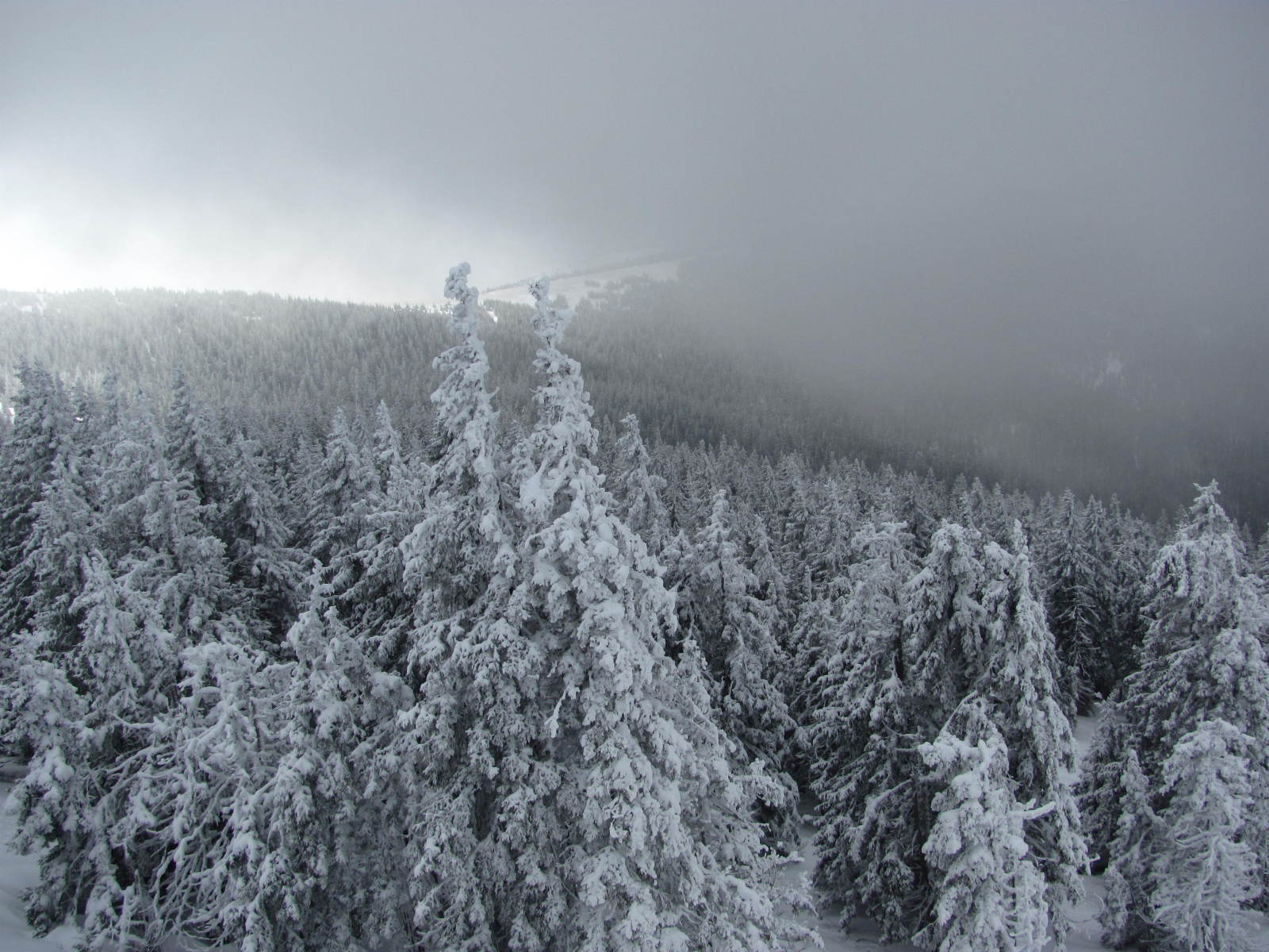 2014.01.25-Semmering-Stuhleck-IMG-1074.JPG