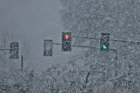 IMG-3072.JPG