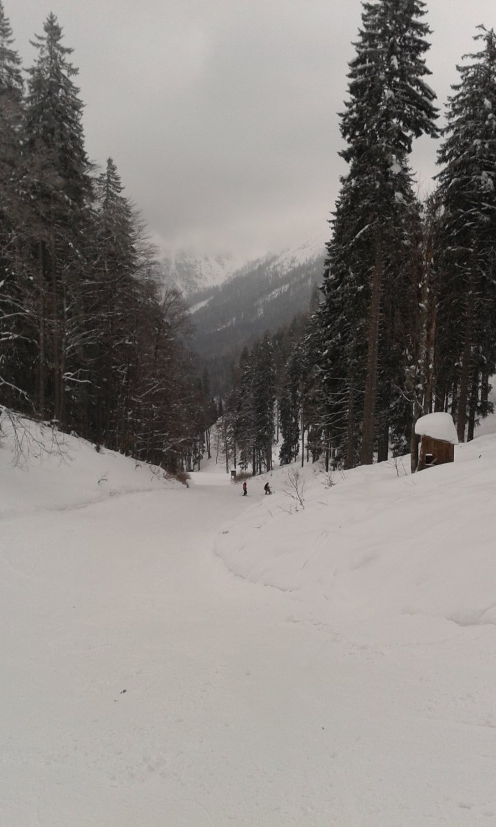 20180218-131556.jpg